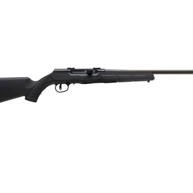 SAV A17 HVY BBL 17HMR SA 10RD