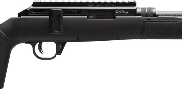 WAI HAM FRC B1 22LR BLK 10RD