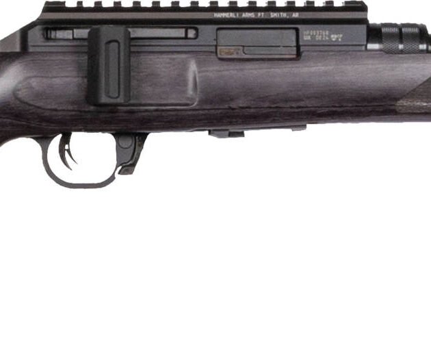 WAI HAM FRC B1 22LR GRY 10RD