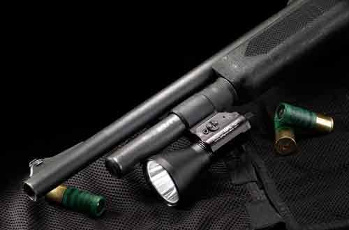 69215_on-shotgun.jpg