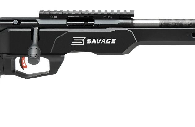 SAV B17 PREC LITE 17HMR BA 10R