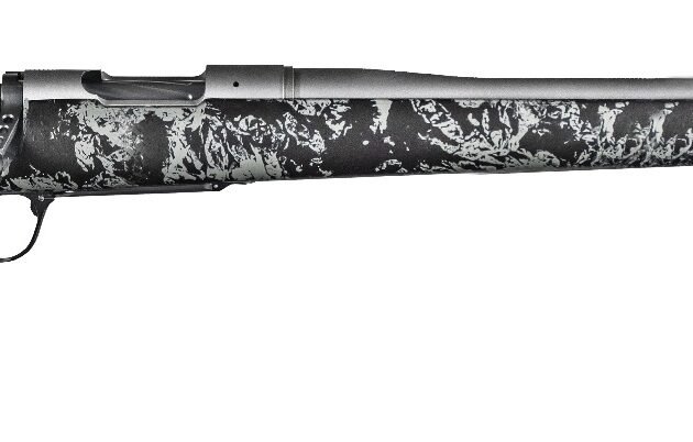 CHA MESA FFT BA 308 20B