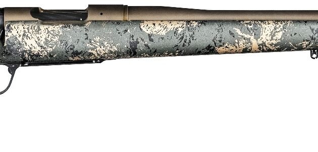 CHA MESA FFT BA 300PRC 22B BB