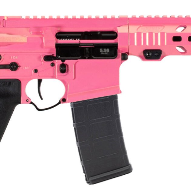 APF 5.56 PISTOL 2.0 10.5 PINKASAURUS REX