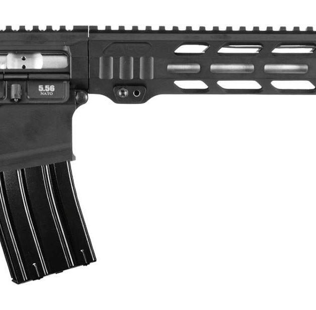 APF VARMINT 2.0 6MM ARC BLK 22 MLOK PRS LITE