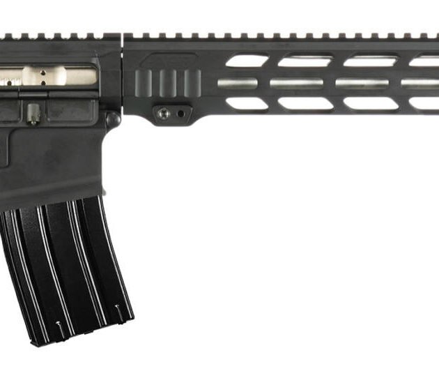 APF VARMINT 2.0 243WIN BLK 18 MLOK PRS LITE