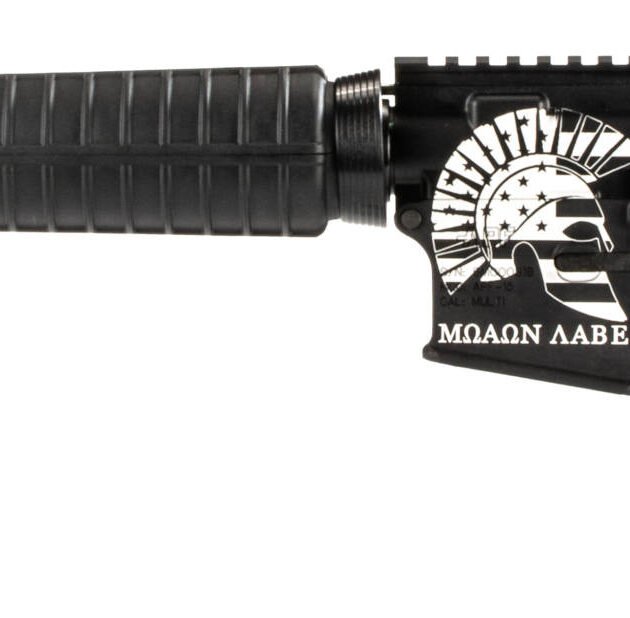 APF DELTA CARBINE MOLON LABE 5.56 16 30RD