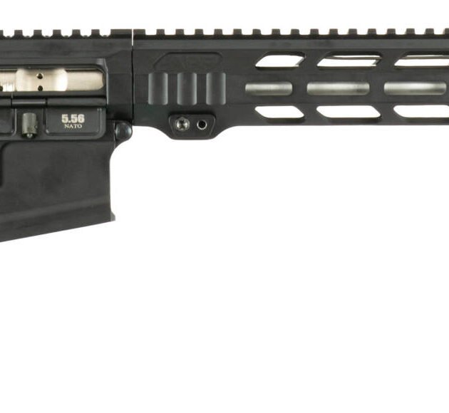 APF DMR 22ARC 2.0 18 MAGPUL ACS MLOK