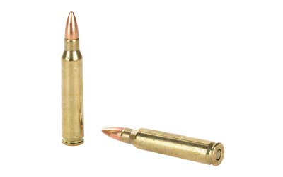 BB223R2_4.jpg