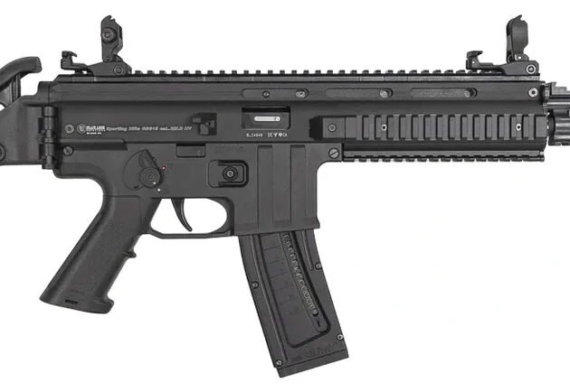 BLG MAUSER M-15 22LR BLK 10RD