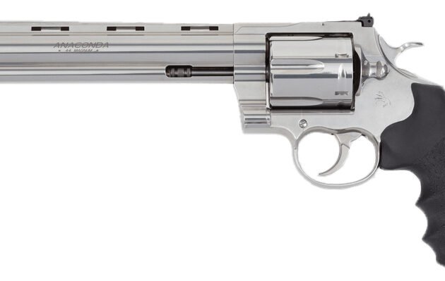 CLT TARGET ANACONDA 44MAG 8 SS HOGUE GRIPS