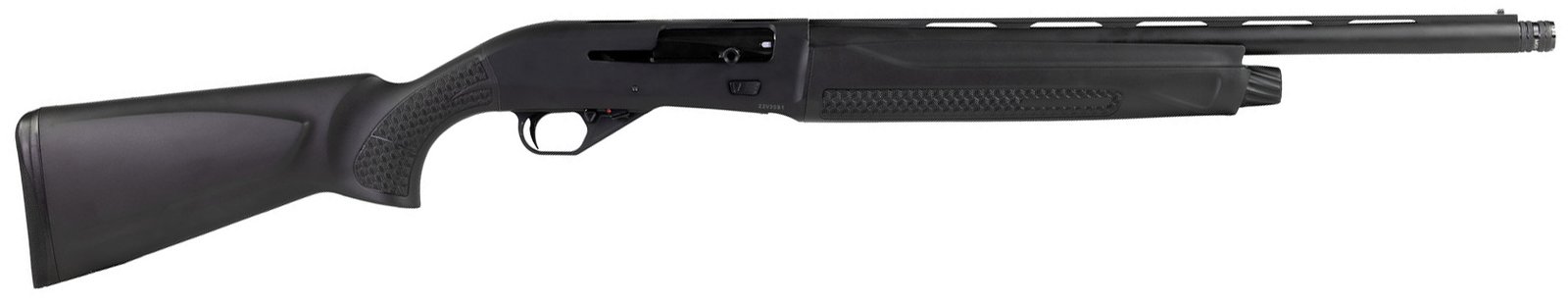CZ2006377.jpg