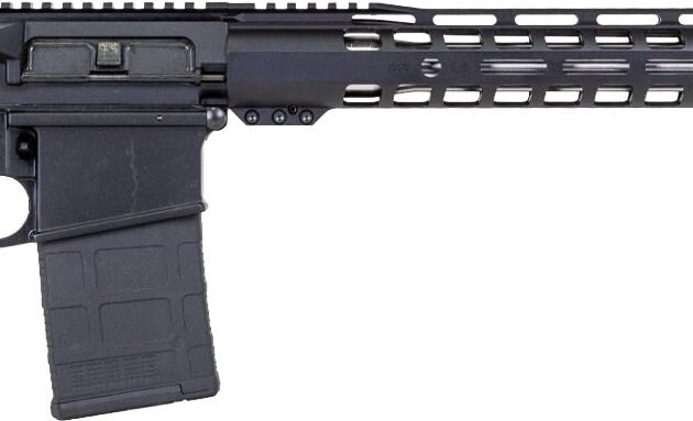 DPM DR10 RFL 6.5CR 20R 16 MLOK