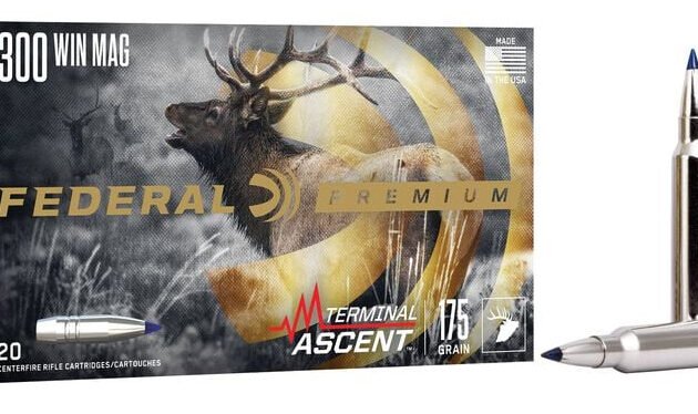 FED TERMINAL ASCENT 300WIN 175GR 20/10