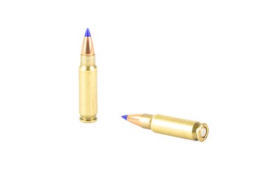 FN10700017-10_4.jpg