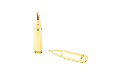 FN10700032_4.jpg