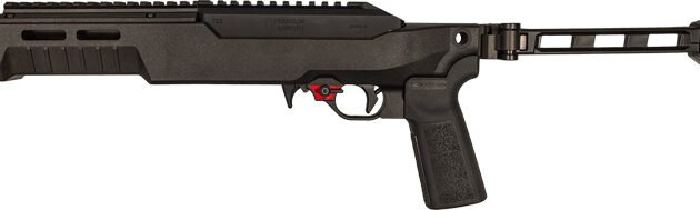 FRANKLIN ARMORY F22 22LR 8" - SB CHASSIS BRACE BINARY