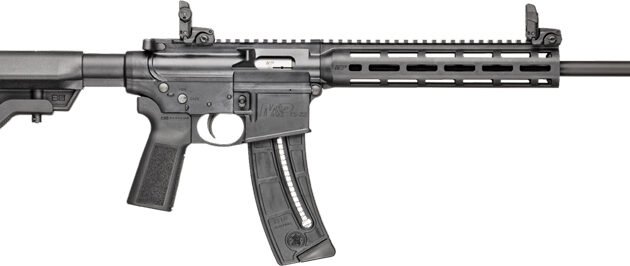 S&W M&P15-22 SPORT 22LR 16.5" - 25-SH B5 SYSTEM W/ SIGHTS BLK