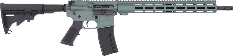 G223CHGNIT.jpg