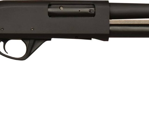 GFA GF3PD PUMP 12/18.5 BLK