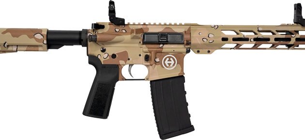 HIPOINT PISTOL HP-15 300 AAC - 10.5" 30RD BLADE BRACE STORM