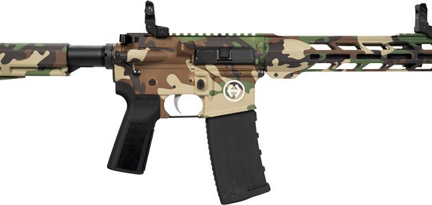 HIPOINT PISTOL HP-15 300 AAC - 10.5" 30RD BLADE BRACE M81