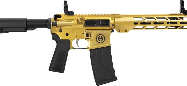 HIPOINT PISTOL HP-15 5.56 - 10.5" 30RD BLADE BRACE GOLD