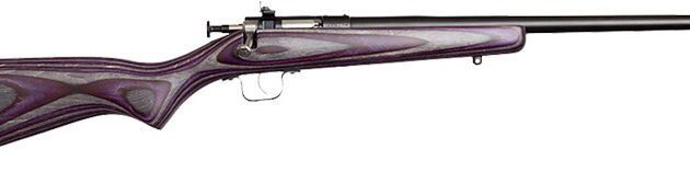 CRICKETT RIFLE G2 22LR - BLUED/PURPLE LAMINATE