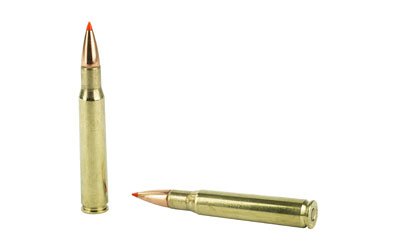 H81153_4.jpg