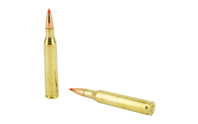 H81453_4.jpg