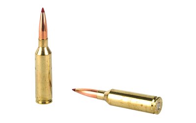 H81621_4.jpg