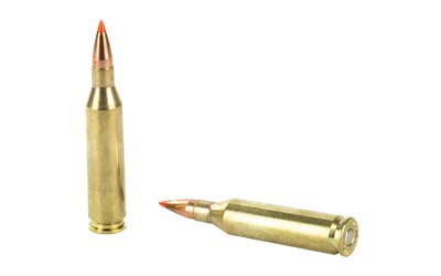 H8343_4.jpg