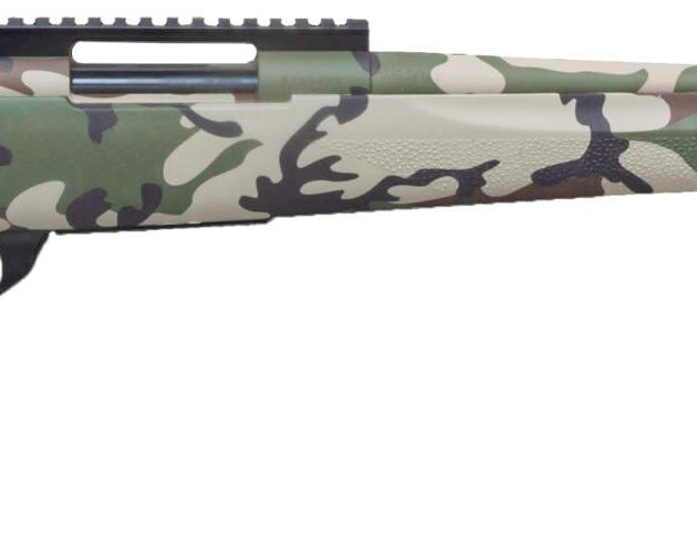 LSI HOWA M1500 223REM 22 WOODLAND FULL RAIL