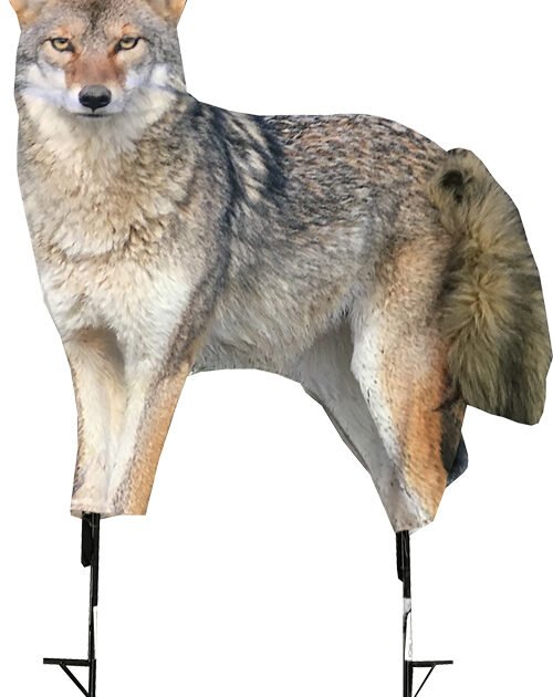 MONTANA DECOY COYOTE SONG DOG