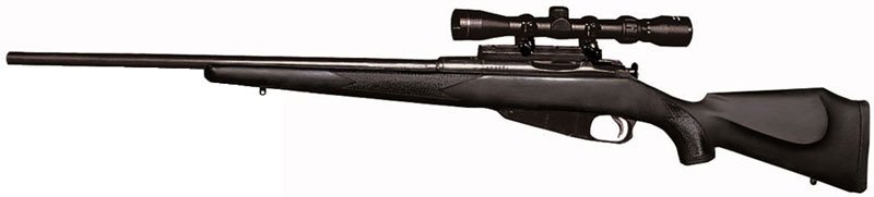 M010300_1.jpg
