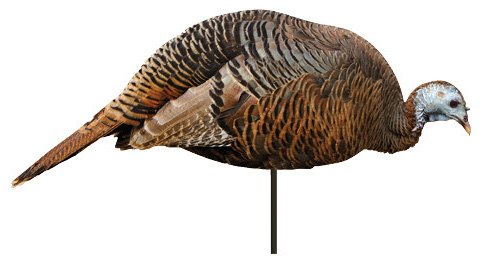 MONTANA DECOY DINNER BELLE FEEDING HEN 2D