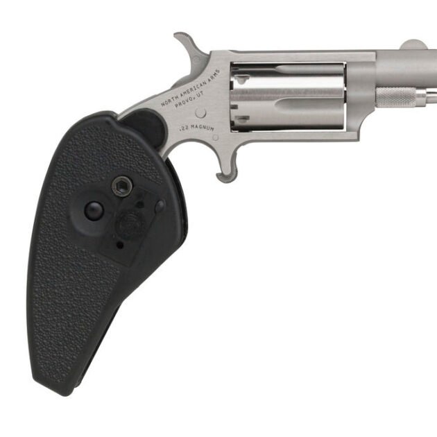 NAM MINI-REV 22LR/22M 1.125 HG