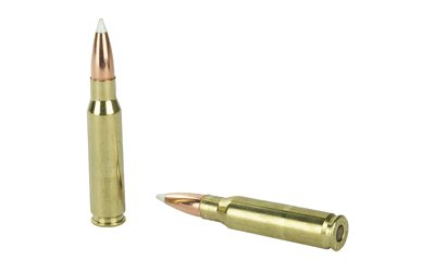 NOS60049_4.jpg