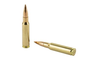 PMC308B_4.jpg