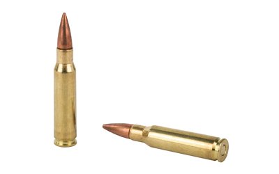 REM23715_4.jpg