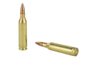 REM27800_4.jpg