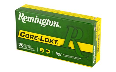 REM27802_3.jpg