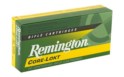 REM27820_2.jpg