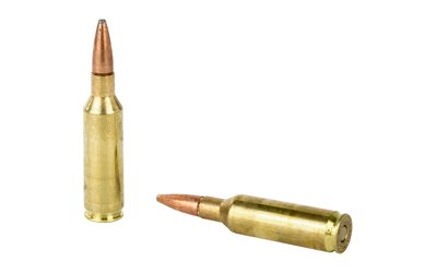 REM27874_4.jpg