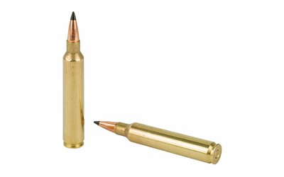 REM27936_4.jpg