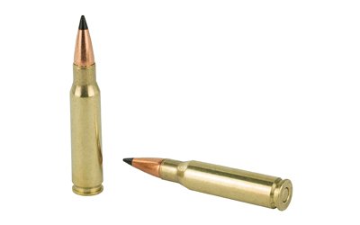 REM29332_4.jpg