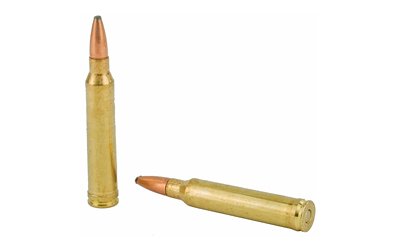 REM29495_4.jpg