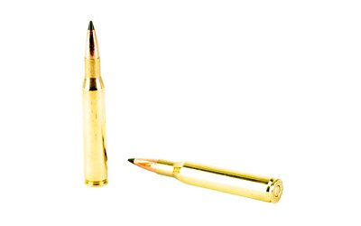 REMR21342_4.jpg
