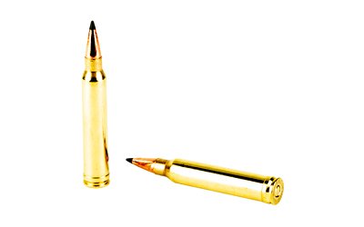 REMR21346_4.jpg