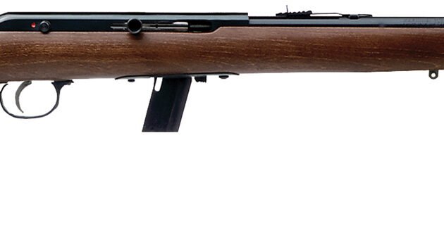 SAV 64 G 22LR 21 BLUED HARDWOOD AS 10RD